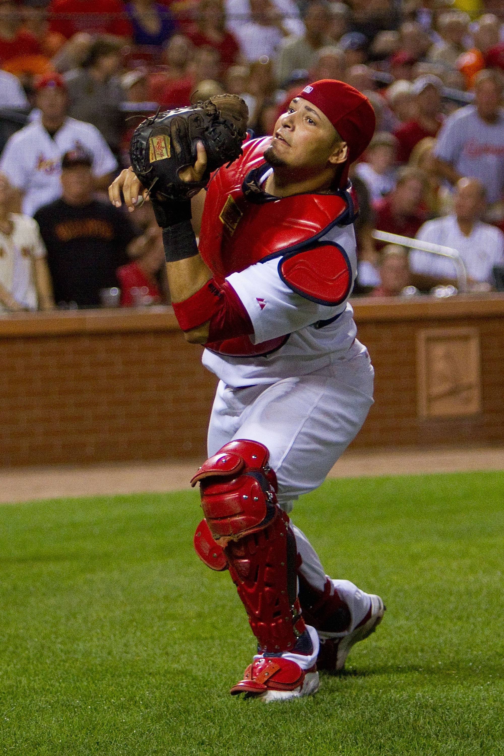 ST. LOUIS - AUGUST 21: Yadier Molina #4 of the St. Louis Cardinals catches a fly ball against the San Francisco Giants at Busch Stadium on August 21, 2010 in St. Louis, Missouri.  (Photo by Dilip Vishwanat/Getty Images)