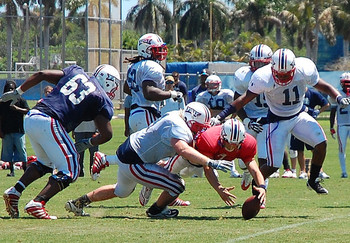 Photo: FAUOwlAccess.com