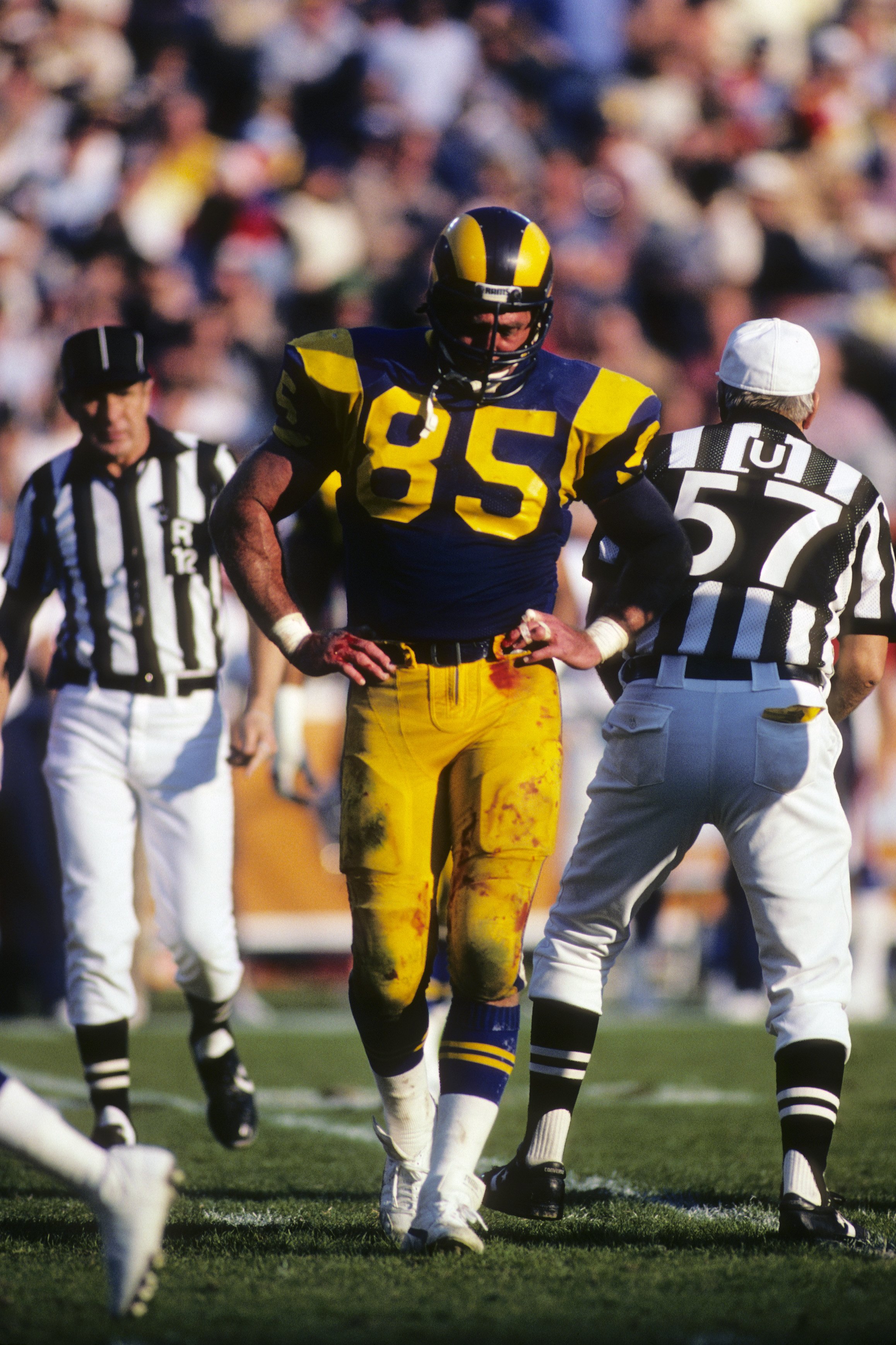 Los Angeles Rams Football Jersey – Jack Youngblood #85