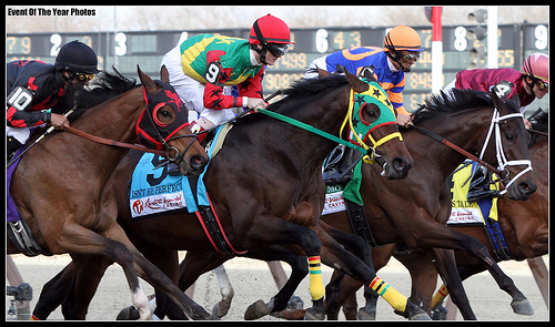 2011 Preakness Stakes Favorites: Meet the Field at This Year's Race ...