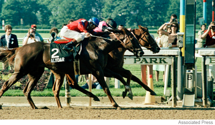 1978 Belmont Program Triple Crown Winner Affirmed Horse Racing 