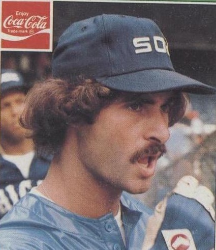 The Random Ballplayer: Special: The Top Mustaches in Baseball History