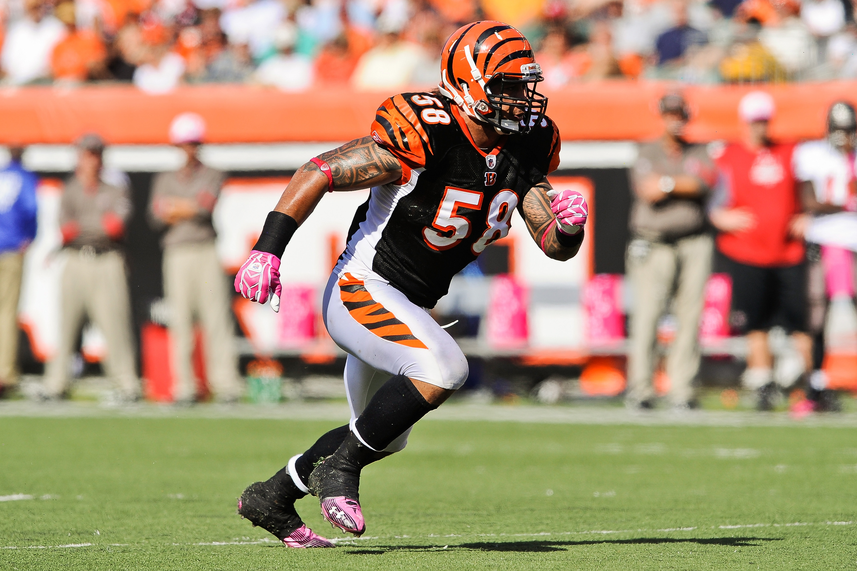 Why Bengals released LB Rey Maualuga