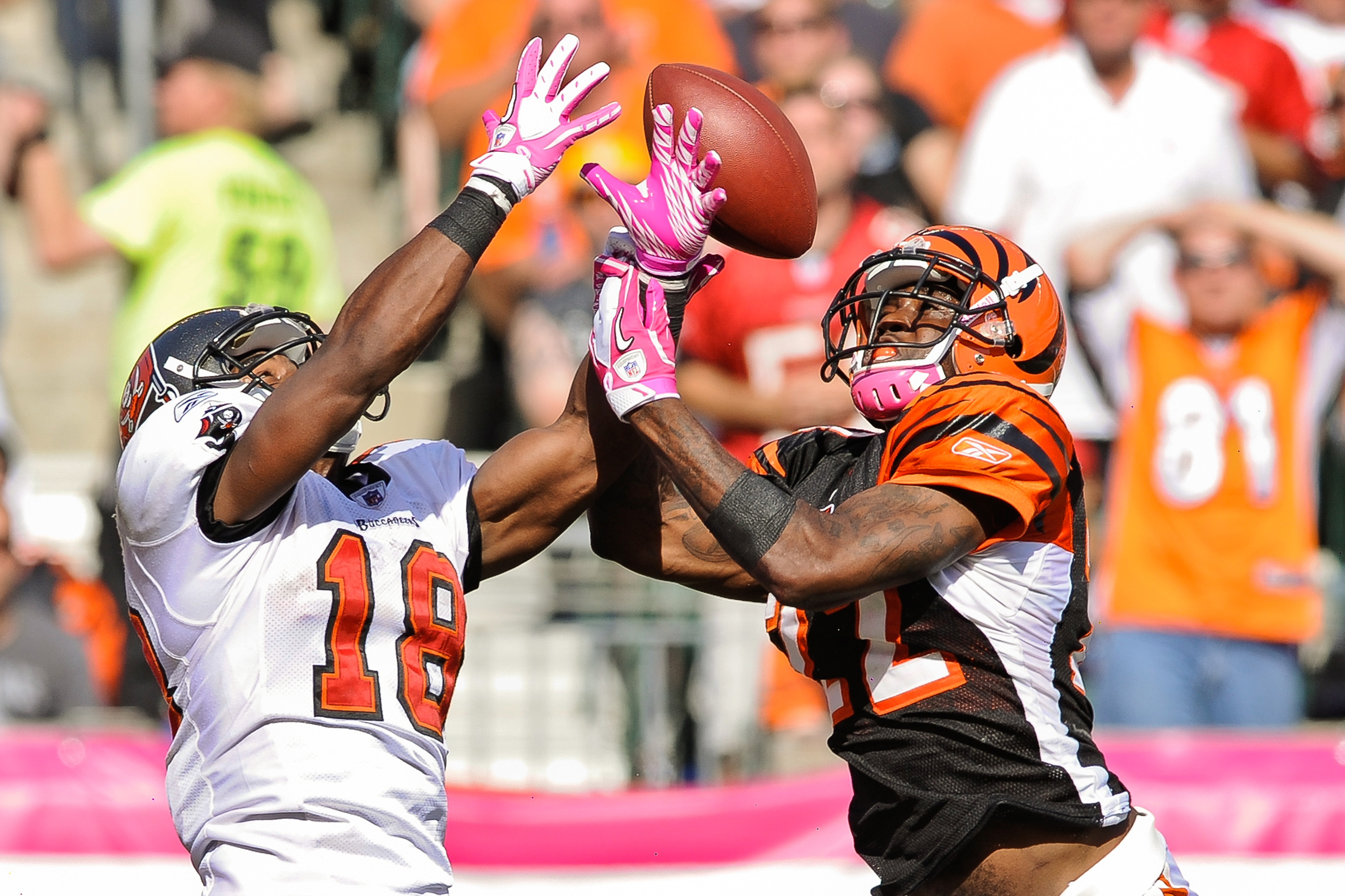 Cincinnati Bengals - Cincinnati Bengals wide receiver Terrell Owens (81)  runs after catching a pass from quarterback Carson Palmer against the  Cleveland Browns in their NFL football game on Sunday, Oct. 3