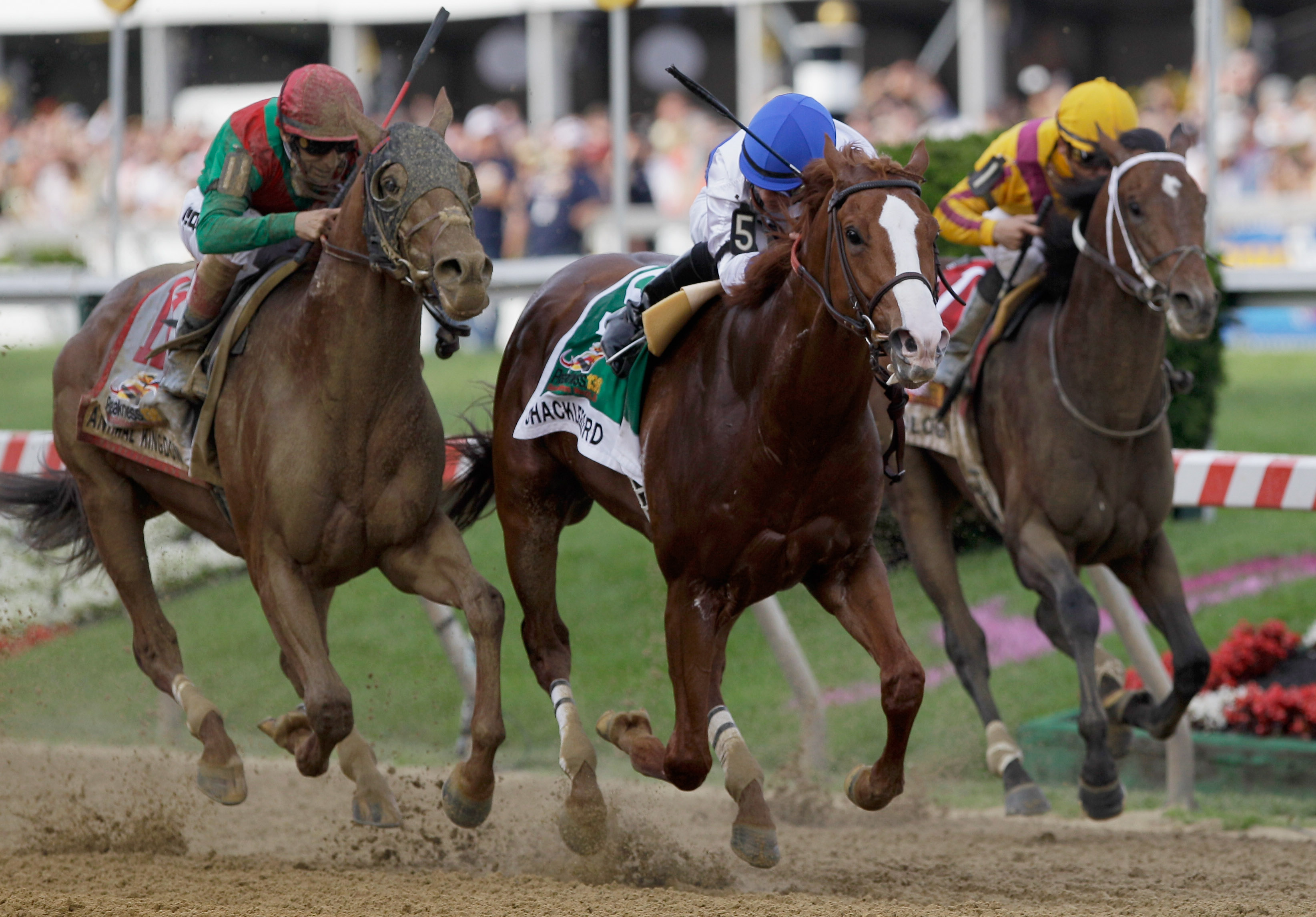 Belmont Stakes 2011 Odds: 5 Horses Most Likely to Finish in the Top 3 ...