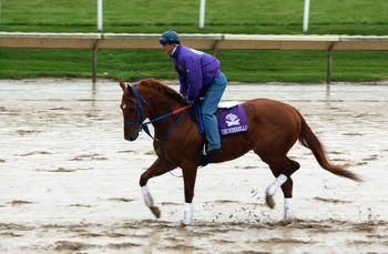 ARLINGTON HEIGHTS, IL - OCTOBER 25:  Extremely wet and sloppy conditions on the track greet Thunderello, a horse entered in the Napa Breeders' Cup Sprint race at Arlington Park during early morning workouts for the 2002 Breeders' Cup World Thoroughbred Ch