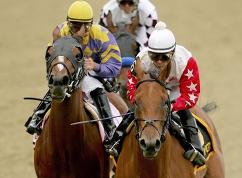 BALTIMORE - MAY 19:  Saratoga Drive #8, ridden by Javier Castellano and Smart N Pretty #6, ridden by Richard Migliore lead the pack down the front stretch of the Black-Eyed Susan during the Pimlico Special at Pimlico Race Course May 19, 2006 in Baltimore,