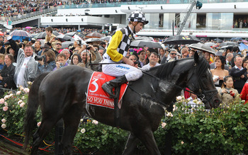 MELBOURNE, AUSTRALIA - NOVEMBER 02:  Jockey Steven Arnold riding So You Think returns to the parade ring after race seven the Emirates Melbourne Cup during Melbourne Cup Day at Flemington Racecourse on November 2, 2010 in Melbourne, Australia.  (Photo by 
