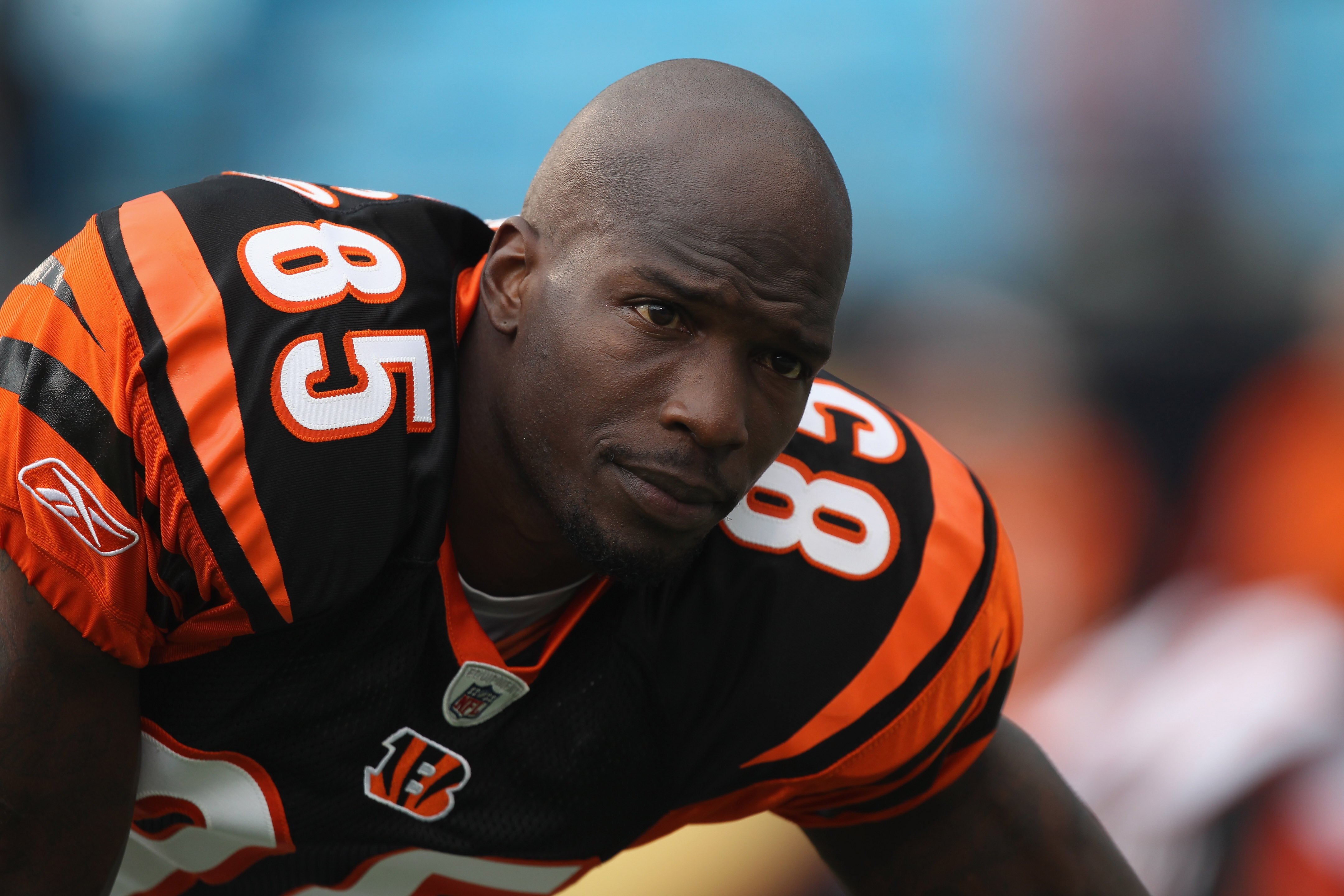 CHARLOTTE, NC - SEPTEMBER 26:  Chad Ochocinco #85 of the Cincinnati Bengals during their game against the Carolina Panthers at Bank of America Stadium on September 26, 2010 in Charlotte, North Carolina.  (Photo by Streeter Lecka/Getty Images)