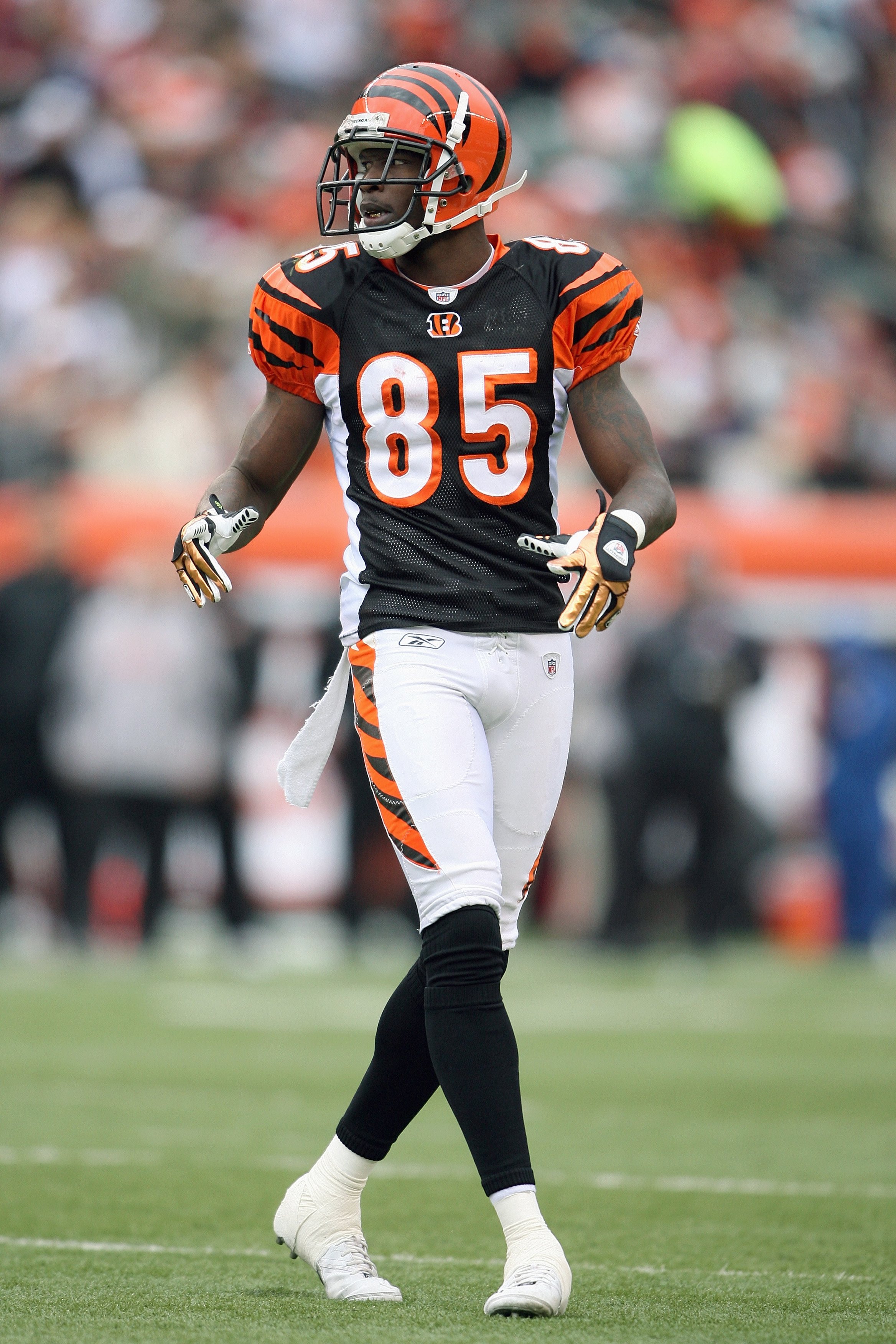 CINCINNATI - DECEMBER 14:  Chad Johnson #85 of the Cincinnati Bengals moves on the field during the NFL game against the Washington Redskins on December 14, 2008 at Paul Brown Stadium in Cincinnati, Ohio. The Bengals won 20-13. (Photo by Andy Lyons/Getty