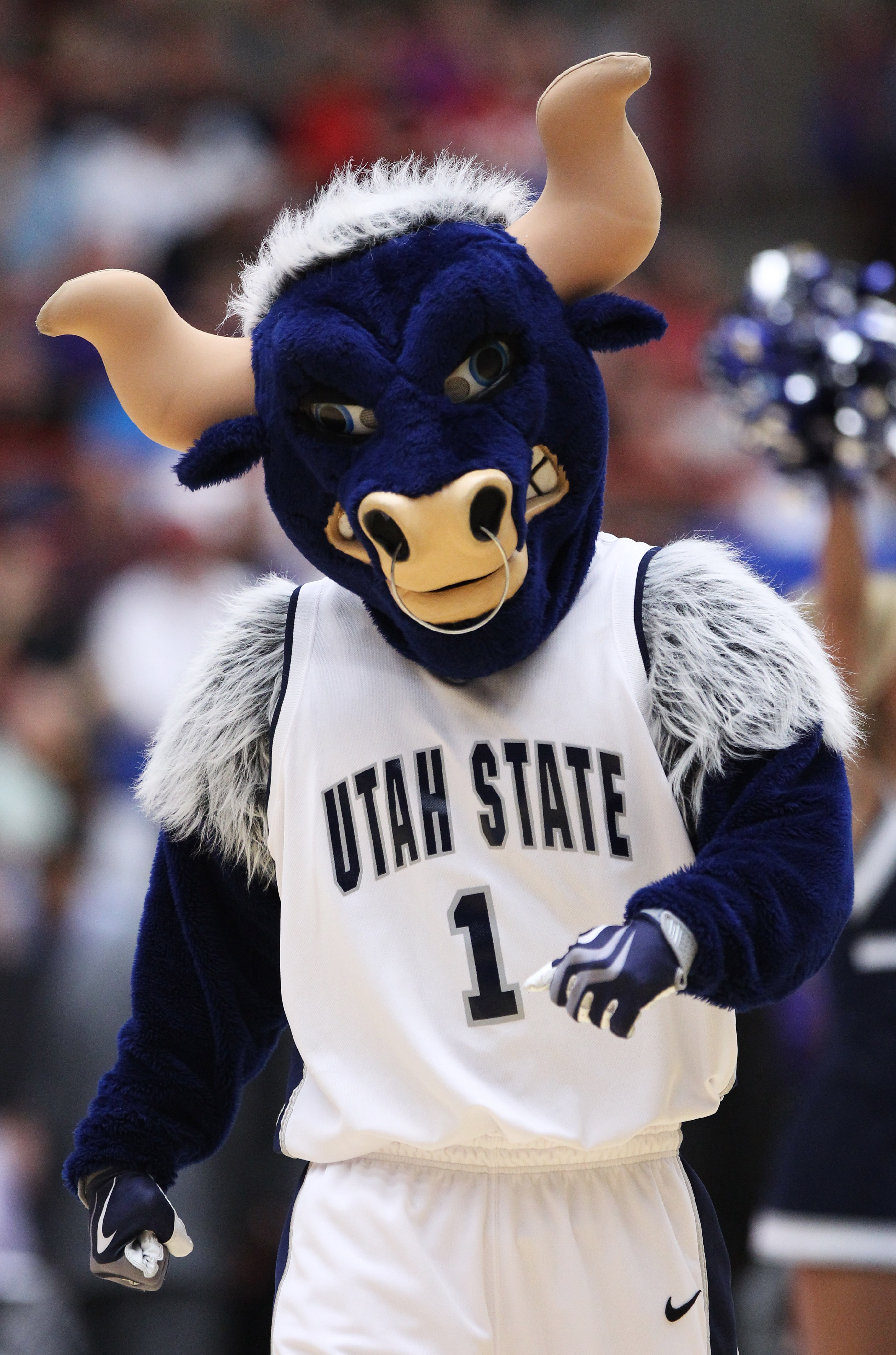 TUCSON, AZ - MARCH 17:  The Utah State Aggies mascot performs during their game against the Kansas State Wildcats the second round of the 2011 NCAA men's basketball tournament at McKale Center on March 17, 2011 in Tucson, Arizona.  (Photo by Christian Pet
