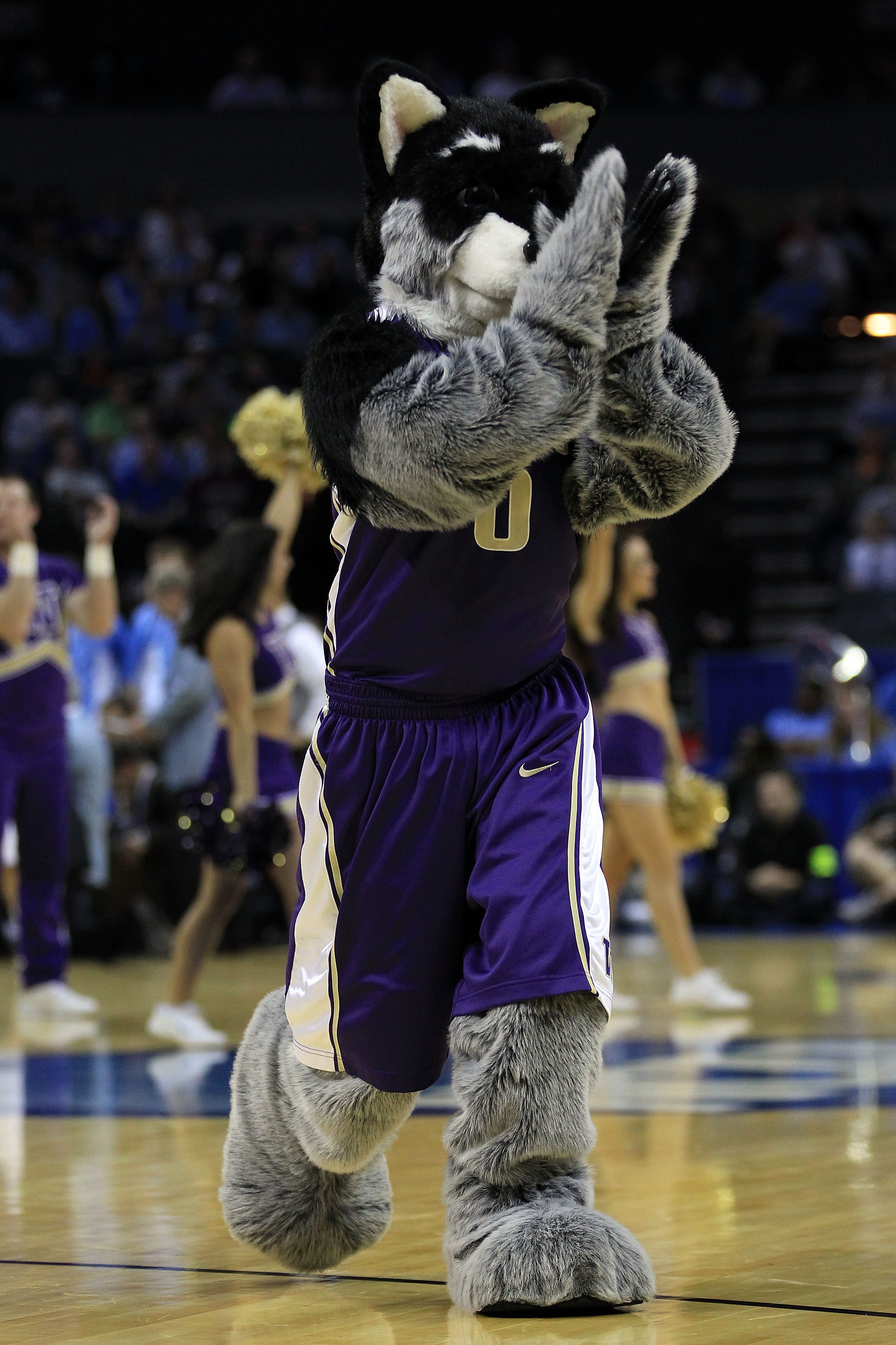 CHARLOTTE, NC - MARCH 20:  The Washington Huskies performs on the court during the third round of the 2011 NCAA men's basketball tournament at Time Warner Cable Arena on March 20, 2011 in Charlotte, North Carolina.  (Photo by Streeter Lecka/Getty Images)