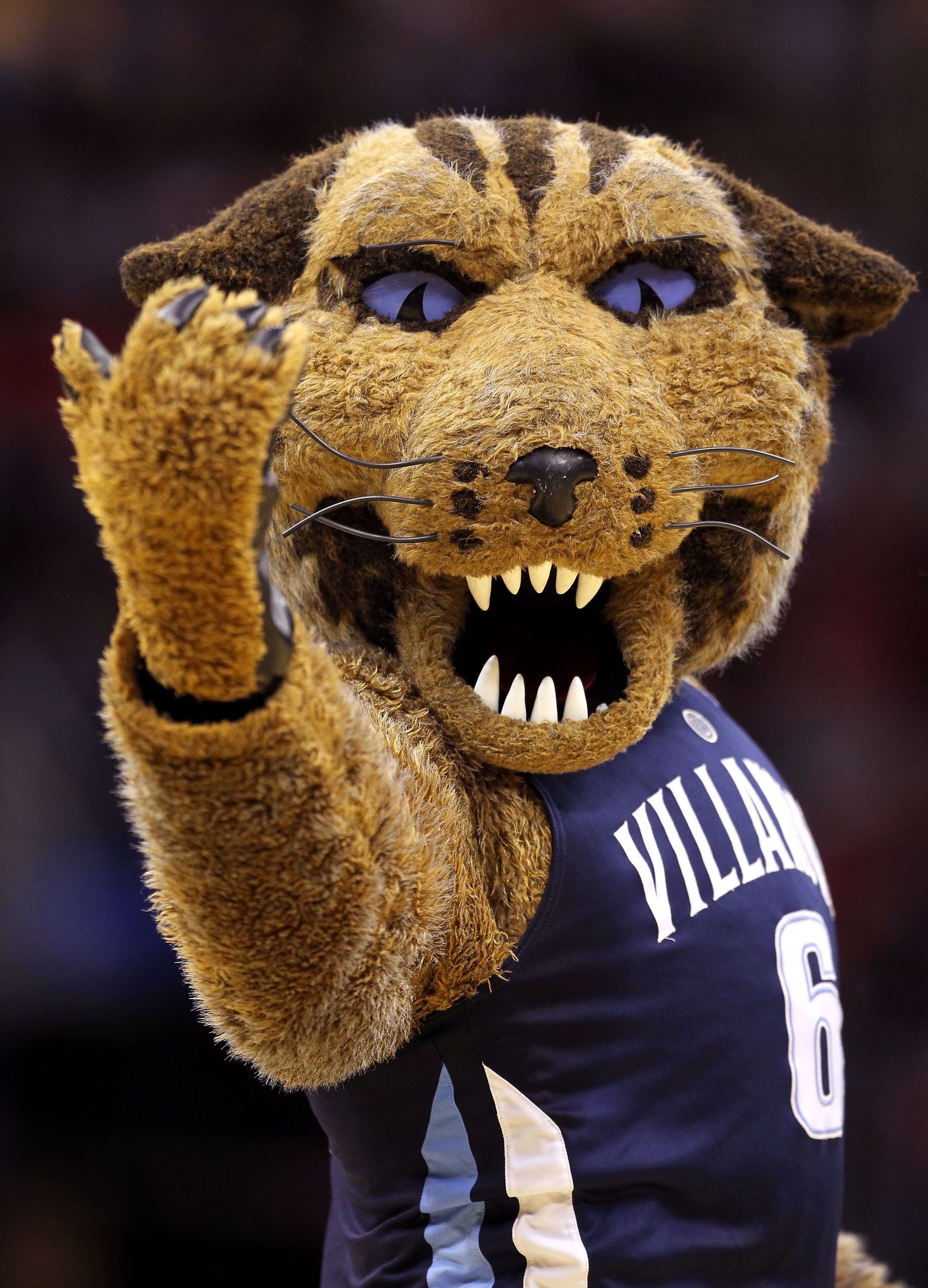 CLEVELAND, OH - MARCH 18: The Villanova Wildcats mascot walks on the court during the game against the George Mason Patriots during the second round of the 2011 NCAA men's basketball tournament at Quicken Loans Arena on March 18, 2011 in Cleveland, Ohio.