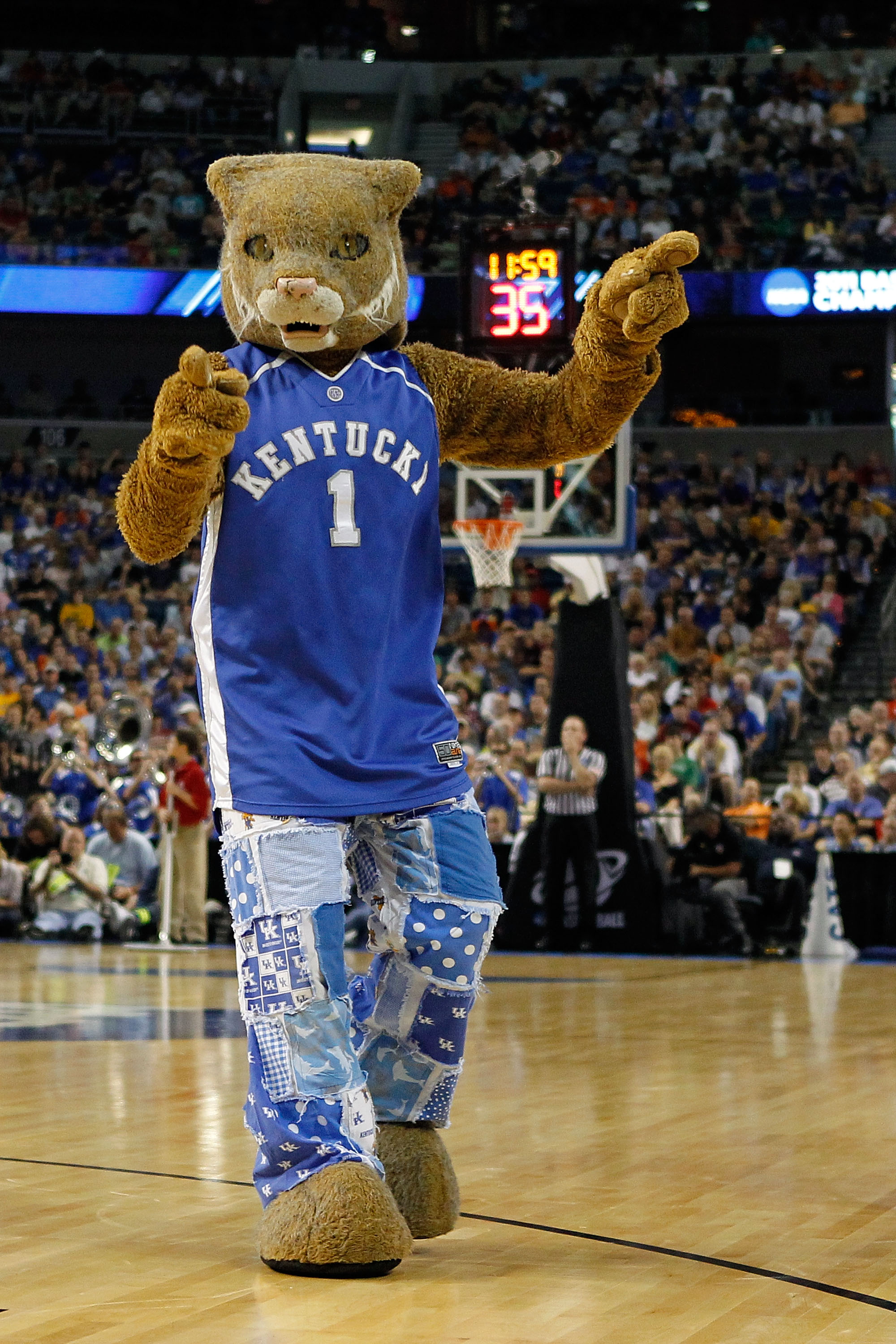 TAMPA, FL - MARCH 19:  The mascot for the Kentucky Wildcats performs against the West Virginia Mountaineers during the third round of the 2011 NCAA men's basketball tournament at St. Pete Times Forum on March 19, 2011 in Tampa, Florida. Kentucky won 71-63