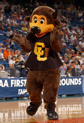 TAMPA - MARCH 21:  The mascot for the University of Colorado Buffaloes cheers for his team against of the Michigan State Spartans as the Spartans defeated the Buffaloes 79-64 in the first round of the South Region of the 2003 NCAA Division I Men's Basketb