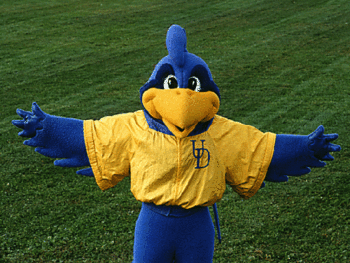 College football mascots: The birds