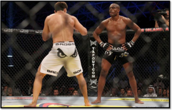 MMA-Anderson-Silva--510x326_display_image.png