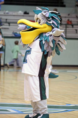 Green Wave and D-I College Mascots Nobody Has Ever Seen in Real Life ...