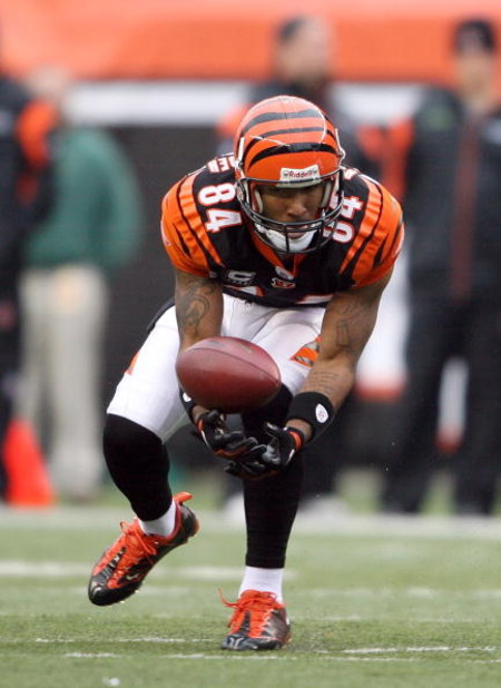 CINCINNATI - NOVEMBER 30:  T.J. Houshmandzadeh #84 of the Cincinnati Bengals tries to catch the ball during their NFL game against the Baltimore Ravens on November 30, 2008 at Paul Brown Stadium in Cincinnati, Ohio. The Ravens defeated the Bengals 34-3.(P