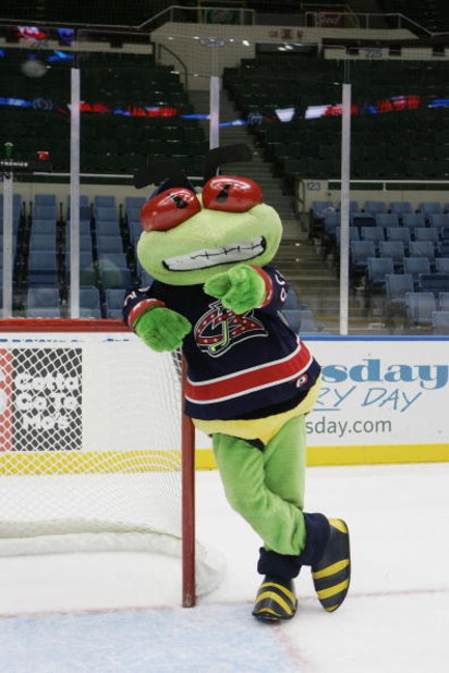 Survey: Best and Worst NHL Mascots (Where's Nordy?)