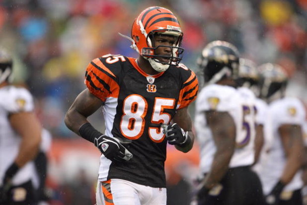 CINCINNATI - NOVEMBER 30:  Chad Johnson #85 of the Cincinnati Bengals jogs on the field during their NFL game against the Baltimore Ravens on November 30, 2008 at Paul Brown Stadium in Cincinnati, Ohio. The Ravens defeated the Bengals 34-3.(Photo by Andy 