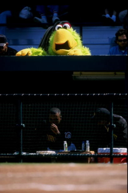 10 Mar 1998:  General view of a mascot during a spring training game between the Pittsburgh Pirates and the Minnesota Twins at the McKechnie Field in Bradenton, Florida. The Pirates defeated the Twins 5-1. Mandatory Credit: Rick Stewart  /Allsport
